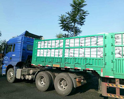 �ڸ����ͻ���